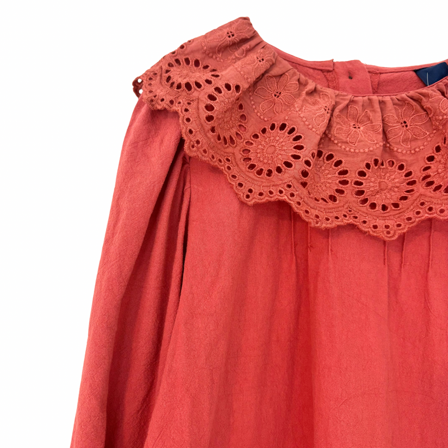 Lace collar dress