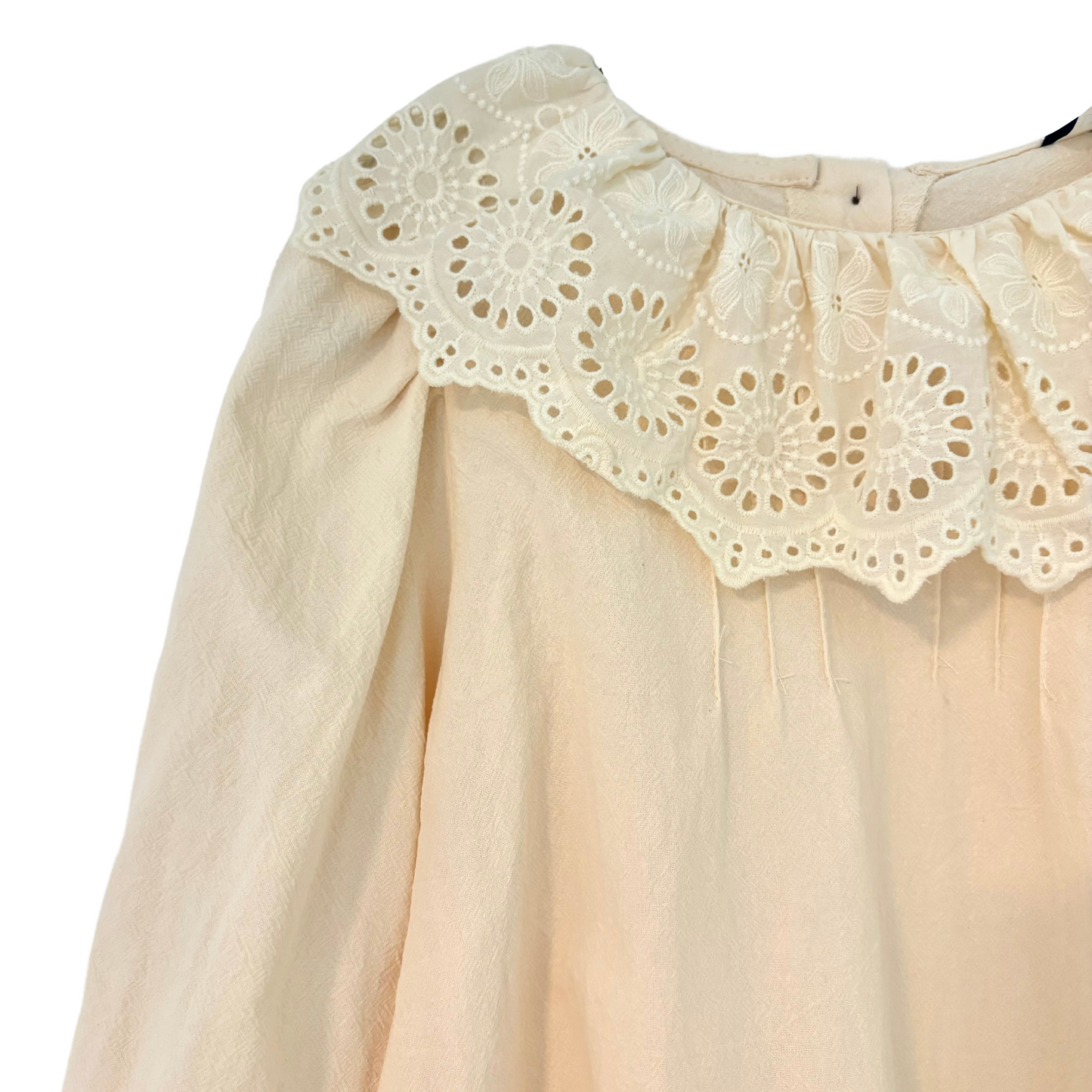 Lace collar dress