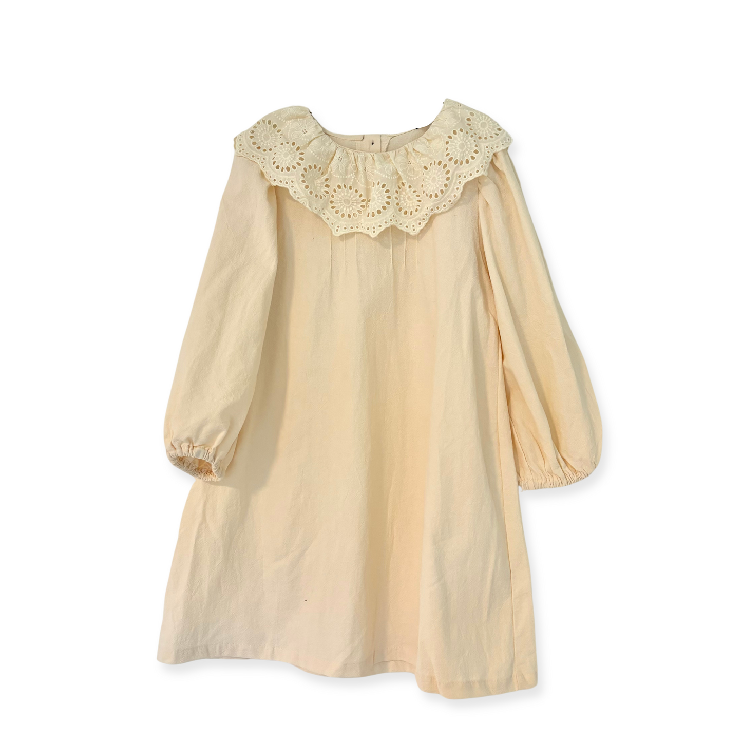 Lace collar dress